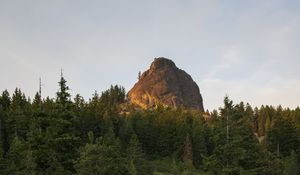 Preview wallpaper rock, peak, trees, forest, nature, landscape