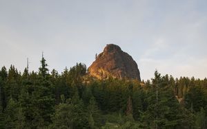 Preview wallpaper rock, peak, trees, forest, nature, landscape