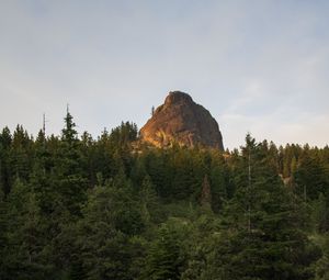 Preview wallpaper rock, peak, trees, forest, nature, landscape