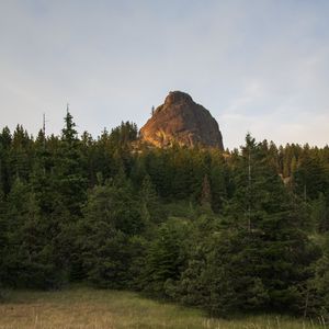 Preview wallpaper rock, peak, trees, forest, nature, landscape