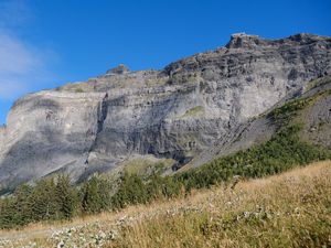 Preview wallpaper rock, relief, slope, grass, landscape