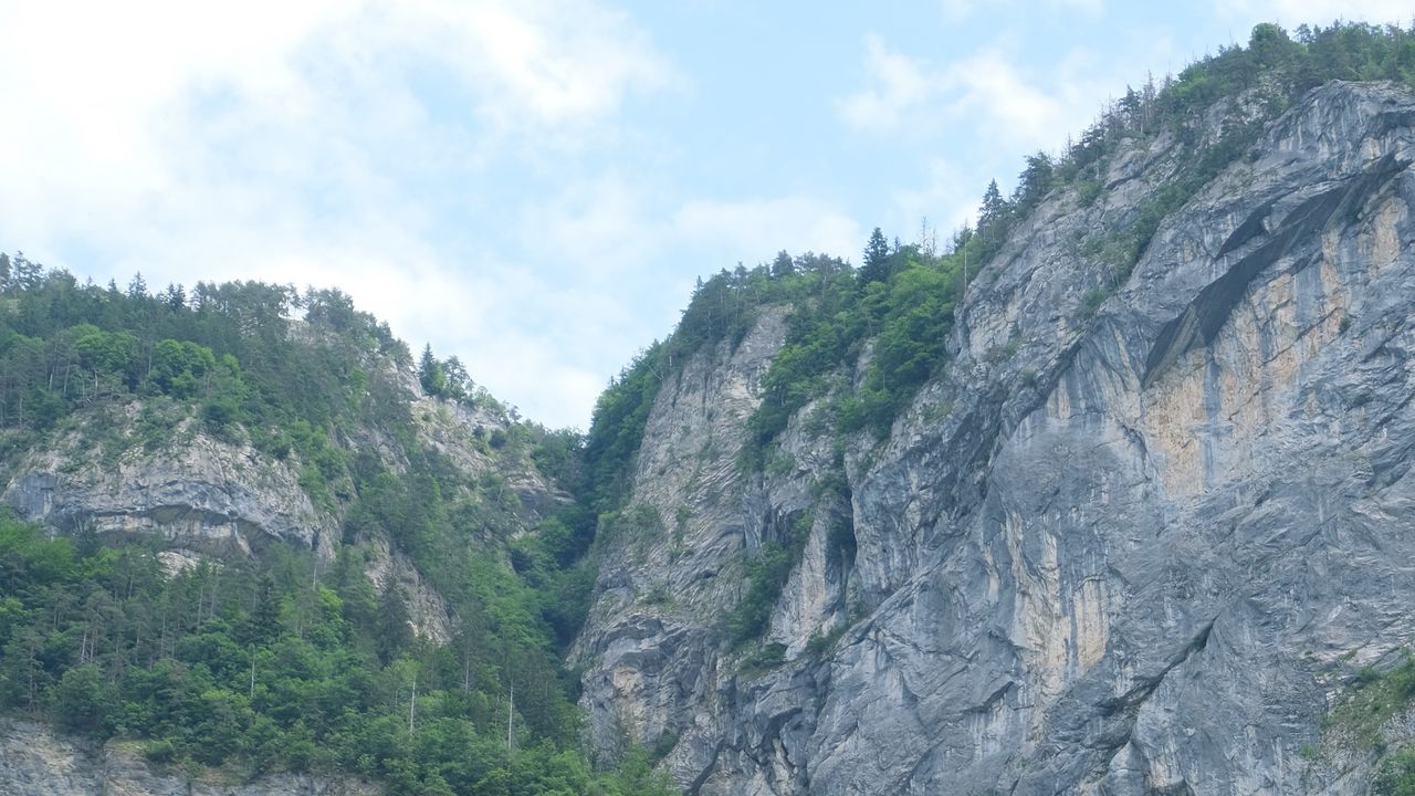Wallpaper rock, relief, trees