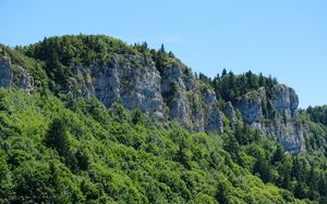 Preview wallpaper rock, relief, trees, nature