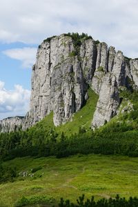 Preview wallpaper rock, relief, trees, slope, grass