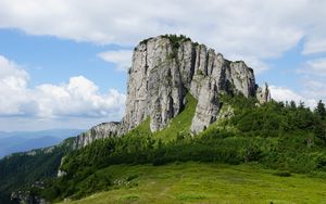 Preview wallpaper rock, relief, trees, slope, grass