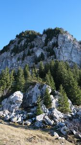 Preview wallpaper rock, relief, trees, nature, slope