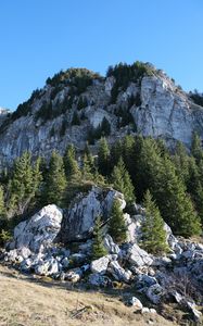 Preview wallpaper rock, relief, trees, nature, slope