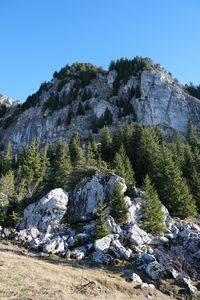 Preview wallpaper rock, relief, trees, nature, slope