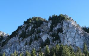 Preview wallpaper rock, relief, trees, nature, slope