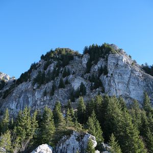 Preview wallpaper rock, relief, trees, nature, slope