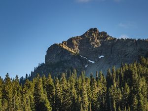 Preview wallpaper rock, river, spruce, trees