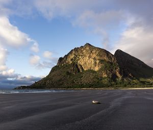 Preview wallpaper rock, sand, shore, shell, landscape, nature