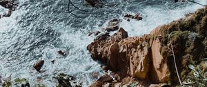 Preview wallpaper rock, sea, branches, cacti