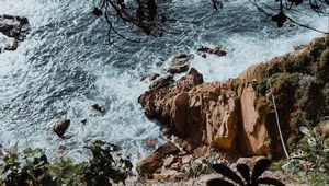 Preview wallpaper rock, sea, branches, cacti