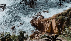 Preview wallpaper rock, sea, branches, cacti