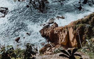 Preview wallpaper rock, sea, branches, cacti