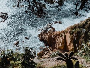 Preview wallpaper rock, sea, branches, cacti