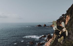 Preview wallpaper rock, sea, coast, cacti