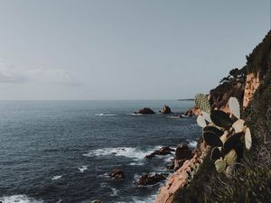 Preview wallpaper rock, sea, coast, cacti