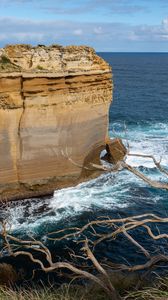 Preview wallpaper rock, sea, foam, branch