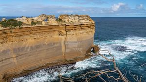 Preview wallpaper rock, sea, foam, branch