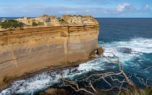 Preview wallpaper rock, sea, foam, branch