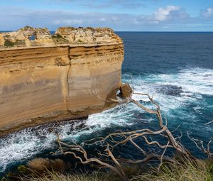 Preview wallpaper rock, sea, foam, branch