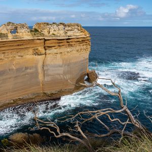 Preview wallpaper rock, sea, foam, branch