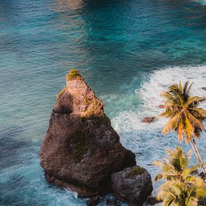 Preview wallpaper rock, sea, palm trees, tropics