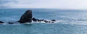 Preview wallpaper rock, sea, splashes, horizon