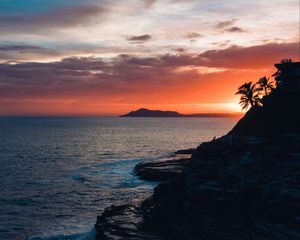 Preview wallpaper rock, sea, sunset, night, sky, palm