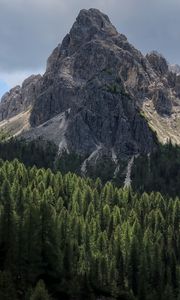 Preview wallpaper rock, slope, relief, trees, forest