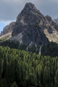 Preview wallpaper rock, slope, relief, trees, forest