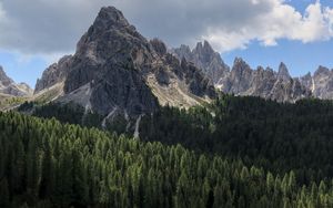 Preview wallpaper rock, slope, relief, trees, forest