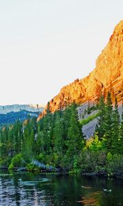 Preview wallpaper rock, slope, trees, nature