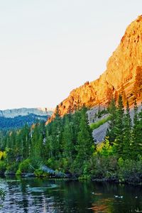 Preview wallpaper rock, slope, trees, nature