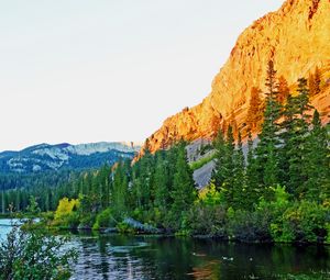 Preview wallpaper rock, slope, trees, nature