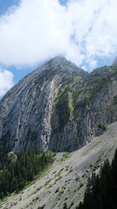 Preview wallpaper rock, slope, trees, landscape