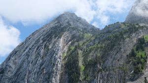 Preview wallpaper rock, slope, trees, landscape