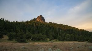 Preview wallpaper rock, spruce, trees, grass, sky