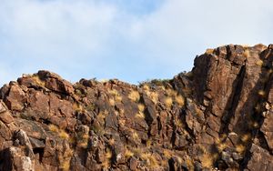 Preview wallpaper rock, stone, bushes, sky