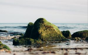 Preview wallpaper rock, stone, moss, sea, horizon