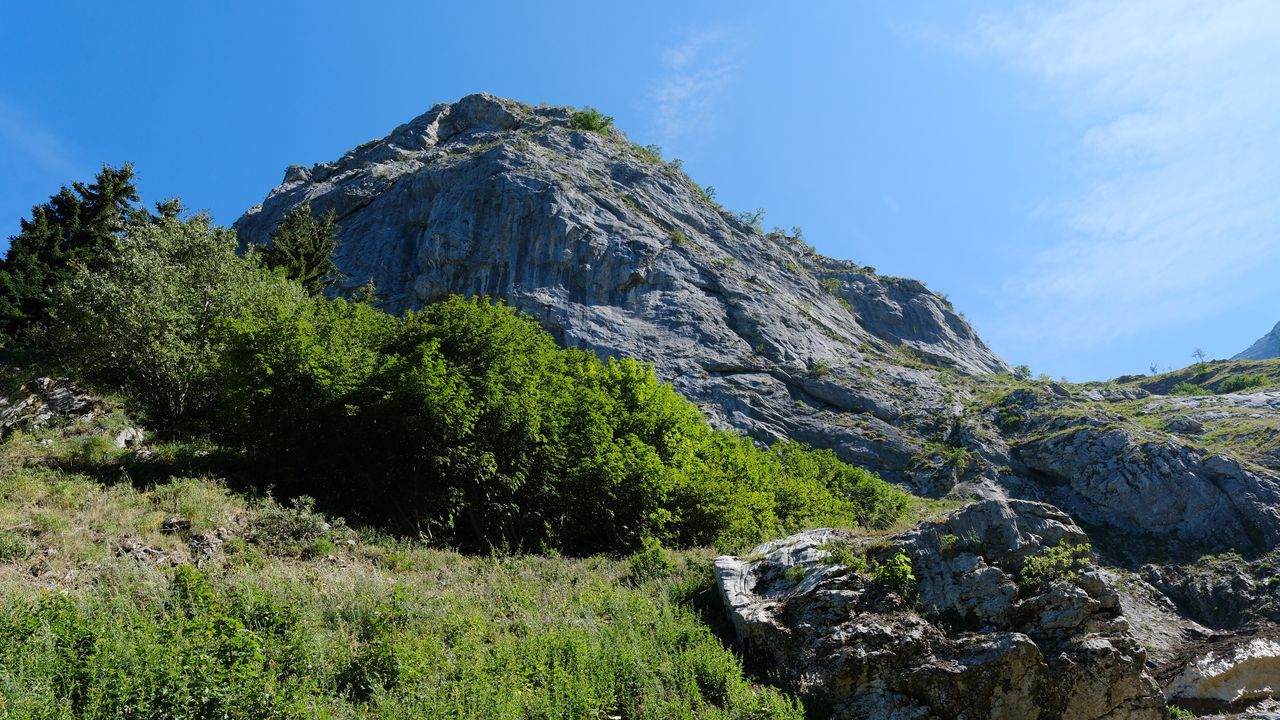 Wallpaper rock, stones, bushes, nature, sky, view from below, scenery