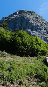 Preview wallpaper rock, stones, bushes, nature, sky, view from below, scenery
