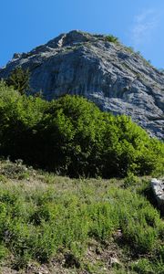 Preview wallpaper rock, stones, bushes, nature, sky, view from below, colorful