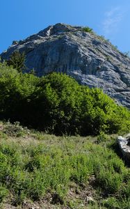 Preview wallpaper rock, stones, bushes, nature, sky, view from below, scenery