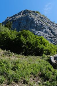 Preview wallpaper rock, stones, bushes, nature, sky, view from below, colorful