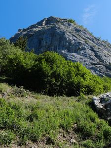Preview wallpaper rock, stones, bushes, nature, sky, view from below, scenery