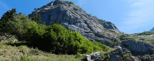 Preview wallpaper rock, stones, bushes, nature, sky, view from below, scenery