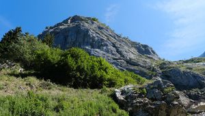 Preview wallpaper rock, stones, bushes, nature, sky, view from below, scenery